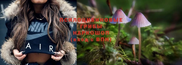 ПСИЛОЦИБИНОВЫЕ ГРИБЫ Аркадак