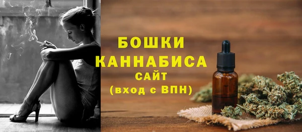 гидра Арсеньев