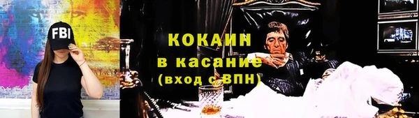 гидра Арсеньев