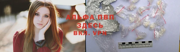 гидра Арсеньев