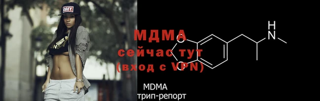 гидра Арсеньев