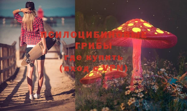 ПСИЛОЦИБИНОВЫЕ ГРИБЫ Аркадак