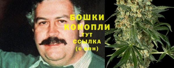 гидра Арсеньев